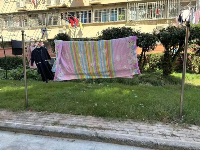 向心力提升居民幸福感凯发k8网站文明凝聚