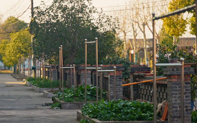 晾晒”晒出乡村新生活湖北洪湖烟草：“便民(图3)